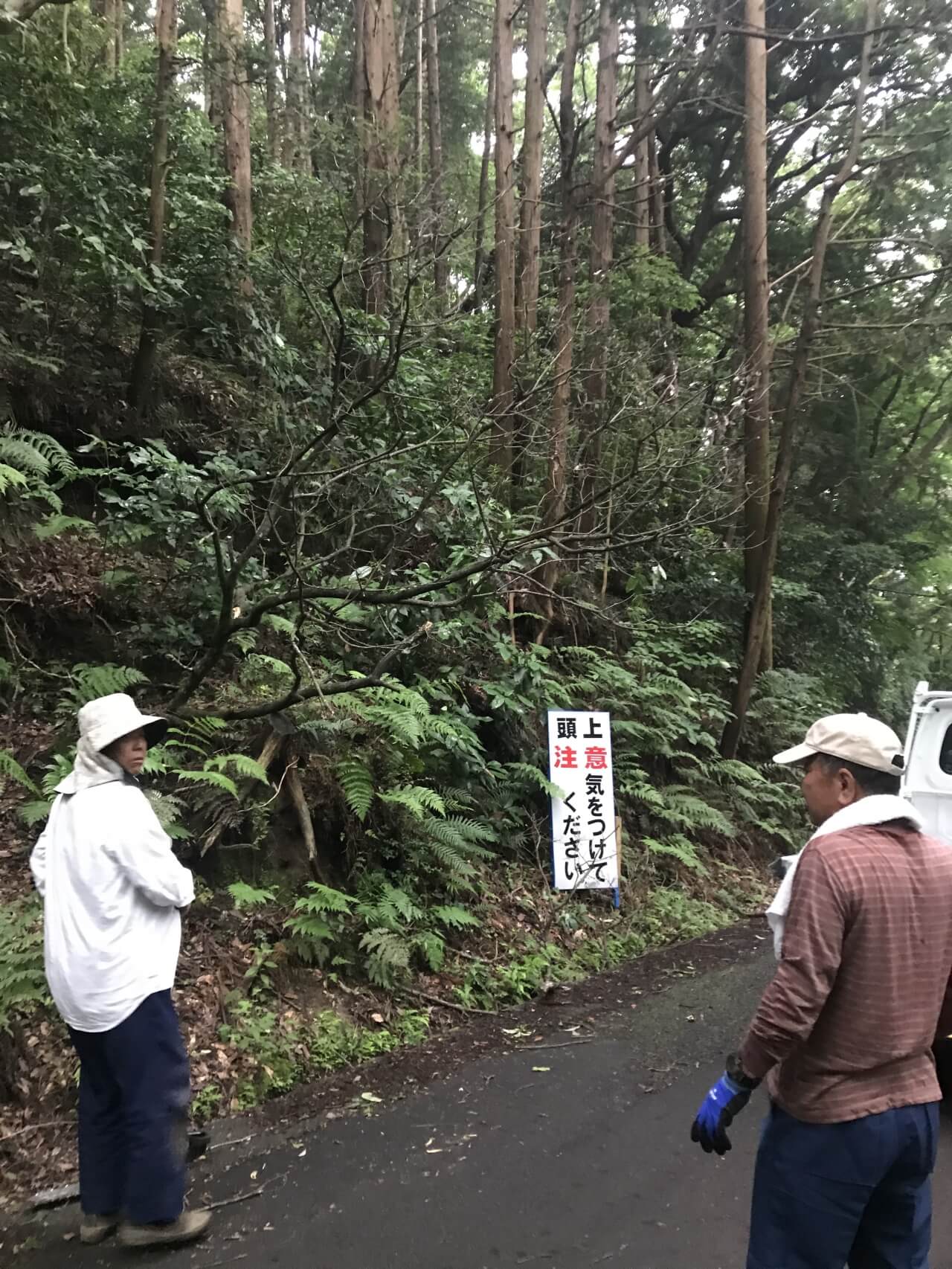 香貫山1