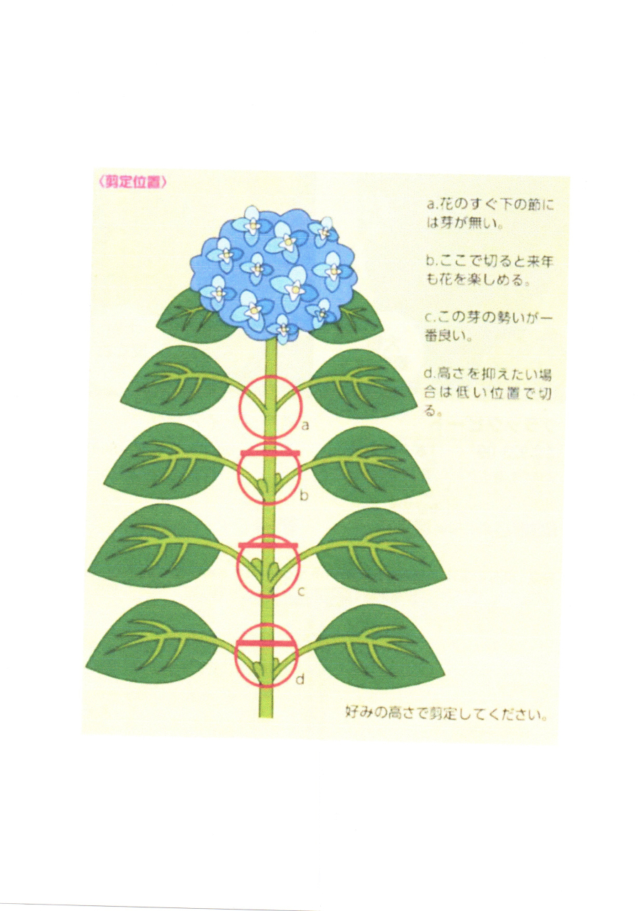 199回香貫山影奉仕10